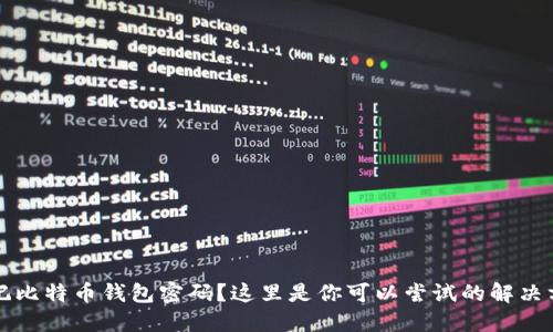 忘记比特币钱包密码？这里是你可以尝试的解决方案