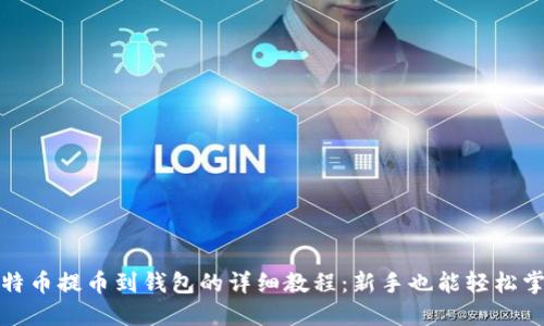比特币提币到钱包的详细教程：新手也能轻松掌握