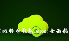 如何安全使用比特币钱包