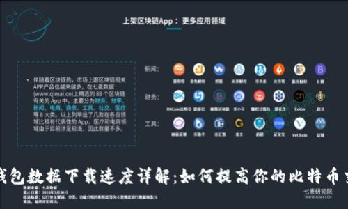 比特币钱包数据下载速度详解：如何提高你的比特币交易经验