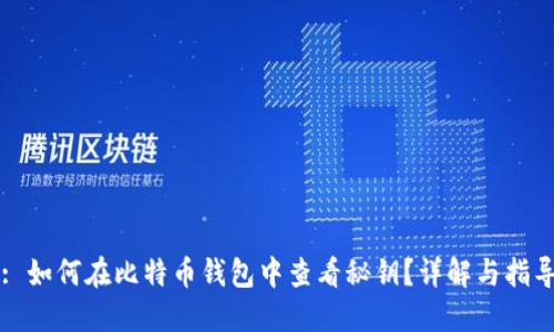 : 如何在比特币钱包中查看秘钥？详解与指导