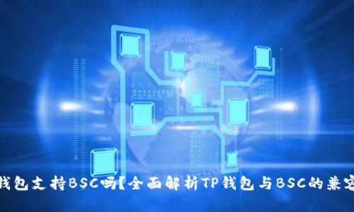 TP钱包支持BSC吗？全面解析TP钱包与BSC的兼容性