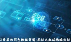 0X开头的钱包地址详解：揭