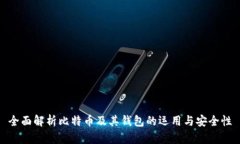 全面解析比特币及其钱包