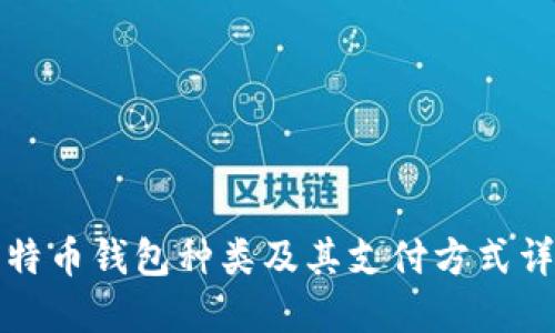 比特币钱包种类及其支付方式详解