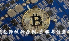 TP钱包降级的原因、步骤与