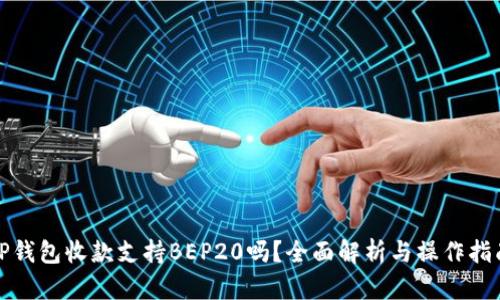 TP钱包收款支持BEP20吗？全面解析与操作指南
