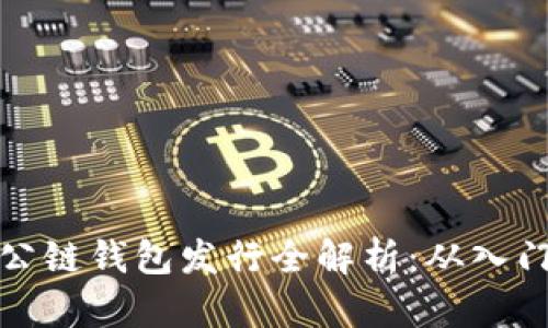 以太坊公链钱包发行全解析：从入门到精通