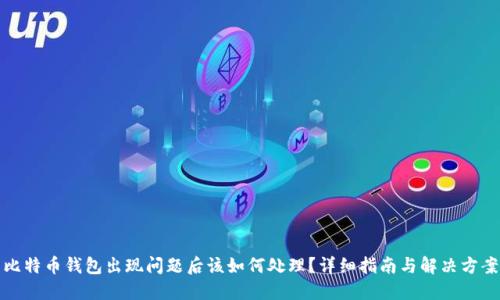 比特币钱包出现问题后该如何处理？详细指南与解决方案