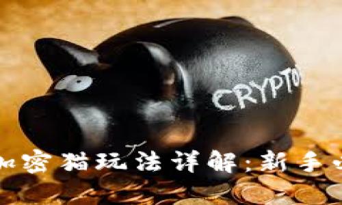TP钱包加密猫玩法详解：新手必看指南
