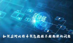 如何应对比特币钱包数据
