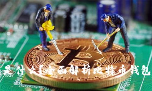 比特币的电子钱包是什么？全面解析比特币钱包的功能与使用方法