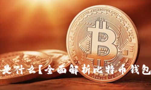 比特币的电子钱包是什么？全面解析比特币钱包的功能与使用方法