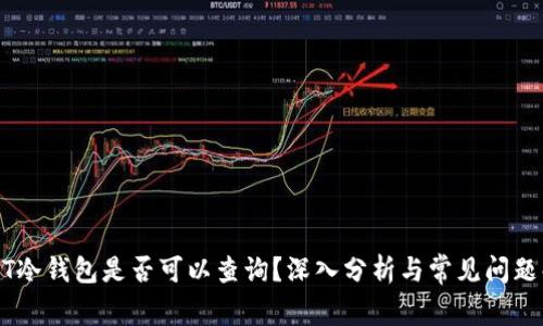 USDT冷钱包是否可以查询？深入分析与常见问题解答