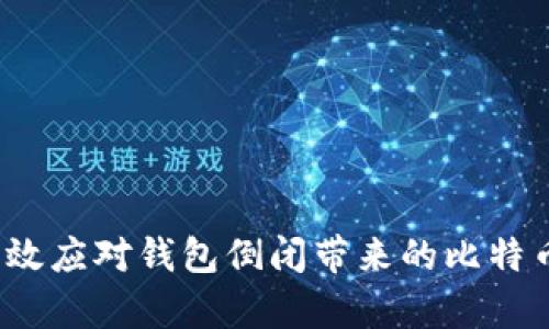 如何有效应对钱包倒闭带来的比特币损失？