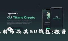 全面解读比特币及其BU钱包