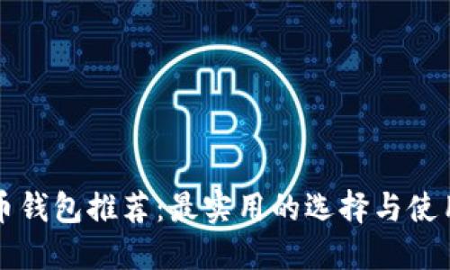 比特币钱包推荐：最实用的选择与使用指南
