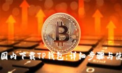 如何在国内下载TP钱包：详细步骤与使用指南