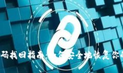 TP钱包密码找回指南：如何