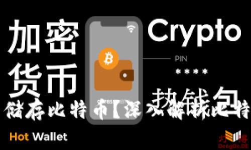 为什么钱包地址能储存比特币？深入解析比特币钱包的工作原理