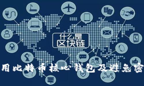 如何安全使用比特币核心钱包及避免密码猜测风险