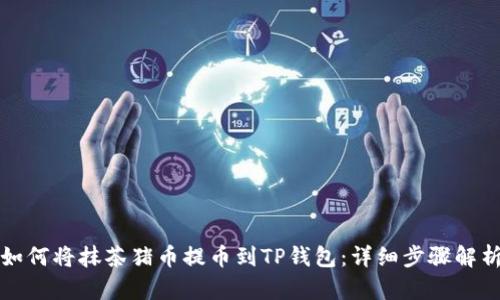 如何将抹茶猪币提币到TP钱包：详细步骤解析
