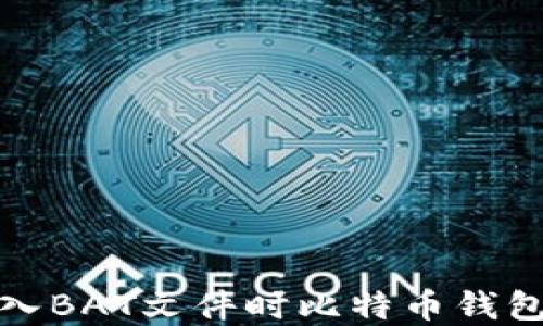 
如何解决导入BAT文件时比特币钱包的错误问题