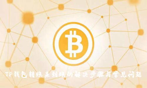 TP钱包转账未到账的解决步骤与常见问题