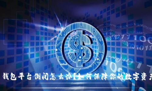 比特币钱包平台倒闭怎么办？如何保障你的数字资产安全？