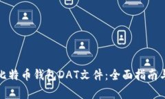 如何破解比特币钱包DAT文