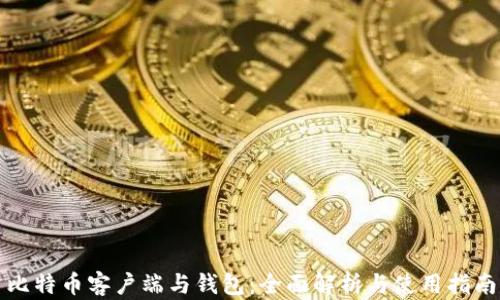 
比特币客户端与钱包：全面解析与使用指南