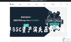 TP钱包中BSC资产消失原因及
