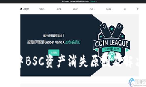 TP钱包中BSC资产消失原因及解决方法