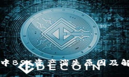 TP钱包中BSC资产消失原因及解决方法