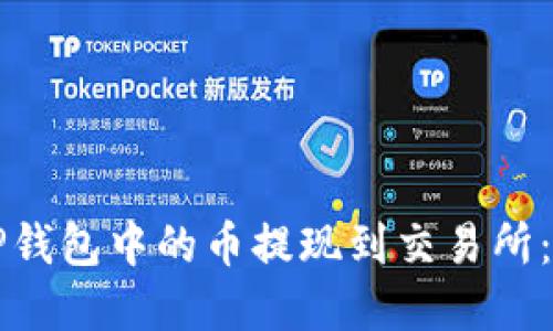 如何将TP钱包中的币提现到交易所：完整指南
