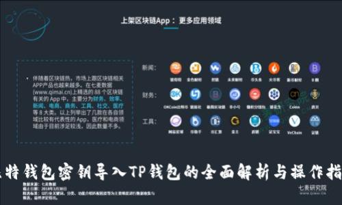 比特钱包密钥导入TP钱包的全面解析与操作指南
