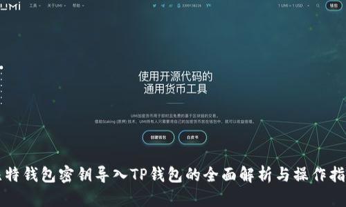 比特钱包密钥导入TP钱包的全面解析与操作指南