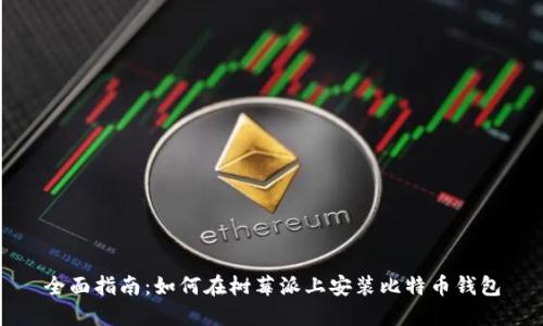 全面指南：如何在树莓派上安装比特币钱包
