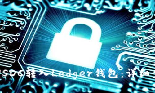 如何将USDC转入Ledger钱包：详细步骤指南