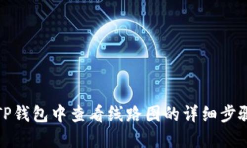 如何在TP钱包中查看线路图的详细步骤与技巧