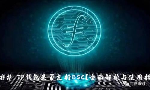 ### TP钱包是否支持BSC？全面解析与使用指南
