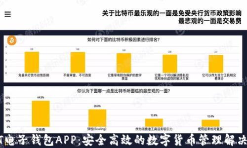 
USDT电子钱包APP：安全高效的数字货币管理解决方案