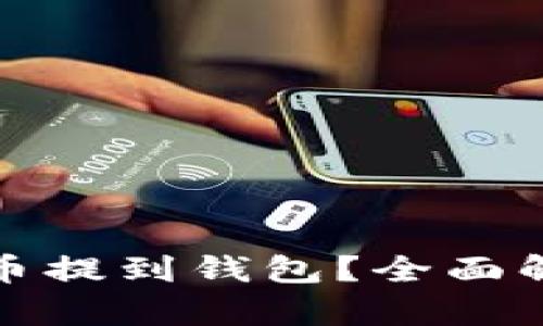 如何将泰达币提到钱包？全面解析提现流程