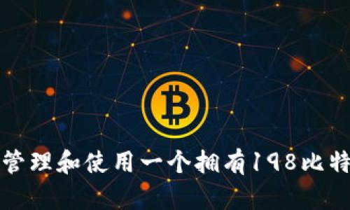 如何安全管理和使用一个拥有198比特币的钱包