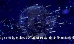 Ledger钱包支持USDT存储指南