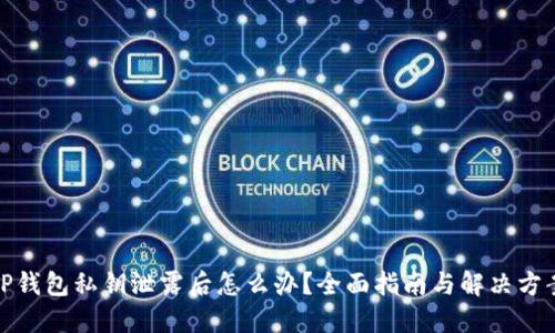 TP钱包私钥泄露后怎么办？全面指南与解决方案