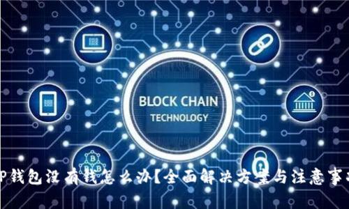 TP钱包没有钱怎么办？全面解决方案与注意事项