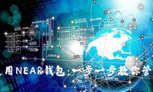 详解如何使用NEAR钱包：一步一步教你管理数字资产