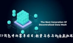 TP钱包中的赛车项目：投资