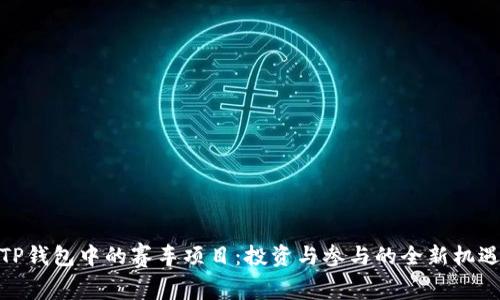 TP钱包中的赛车项目：投资与参与的全新机遇